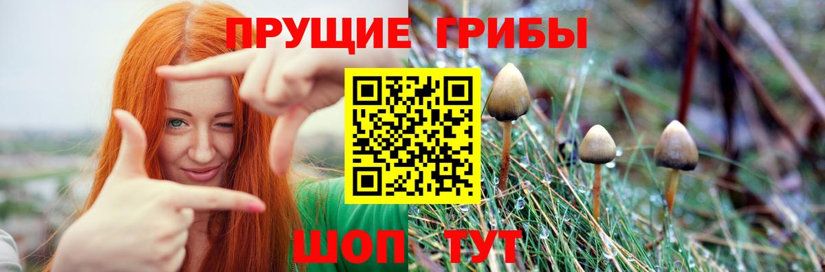 Псилоцибиновые грибы ЛСД  Вход с VPN  Ахтубинск 