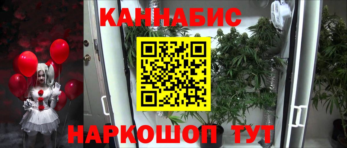 Канабис OG Kush Ахтубинск